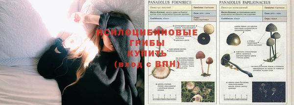 дживик Белоозёрский