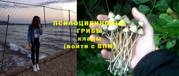 дживик Белоозёрский