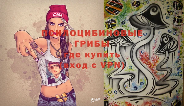 метадон Белокуриха