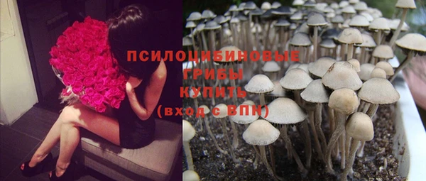 первитин Беломорск
